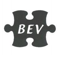 BEV 及圖