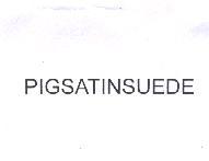 PIGSATINSUEDE