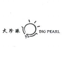 大珍珠 BIG PEARL 及圖