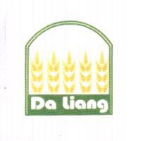 Da Liang 及圖 (彩)