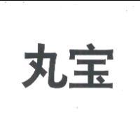 丸寶