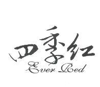 四季紅EVER RED
