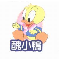 醜小鴨及圖