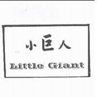 維福實業有限公司 小巨人 Little Giant