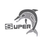 UPER 及圖