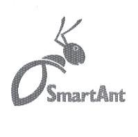 Smart Ant 及圖