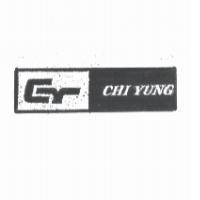 CHI YUNG 及圖