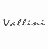 Vallini