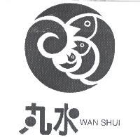 陳世明 丸水及 WAN SHUI 及圖