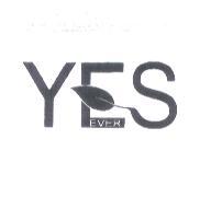 YES EVER 設計圖