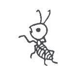 螞蟻圖