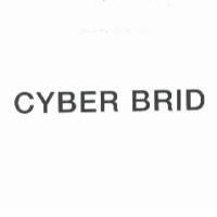 CYBER BRID