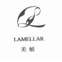 美植 LAMELLAR 及圖