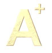 A+ 設計圖