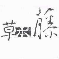 草本藤