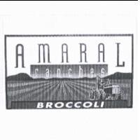 AMARAL ranches BROCCOLI 及圖