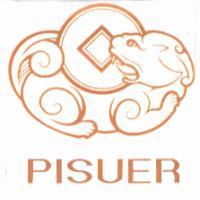 PISUER 及圖