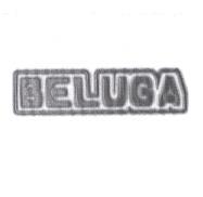 BELUGA 設計圖