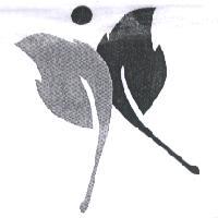 設計圖