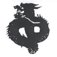 中龍設計圖