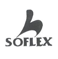 SOFLEX 及圖