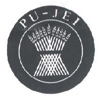 PU-JEI 及圖