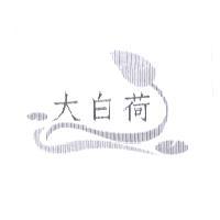 大白荷及圖