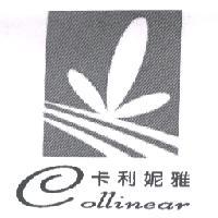 卡利妮雅 COLLINEAR 及圖