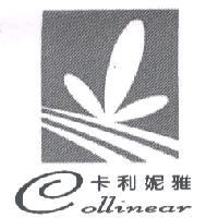 卡利妮雅 COLLINEAR 及圖