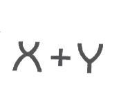 X + Y