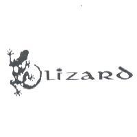 LIZARD 及圖