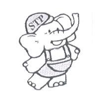 STP 及圖