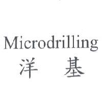 洋基 Microdrilling