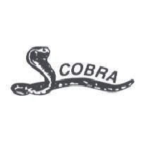 COBRA 及圖