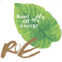 ROE Root Of Energy 及圖