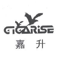 嘉升 GiGaRise 及圖