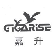 嘉升 GiGaRise 及圖