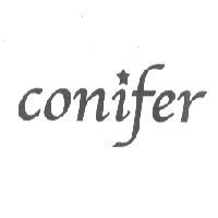 conifer