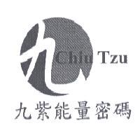 九紫健康元素有限公司 九紫能量密碼 Chiu Tzu 及圖