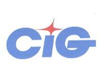 CIG 設計圖（彩）