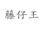 藤仔王