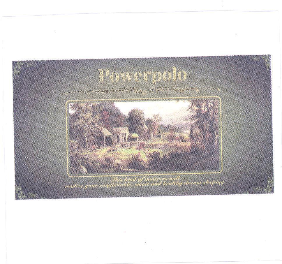 Powerpolo 及圖