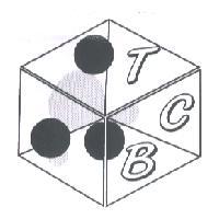 TCB 及圖