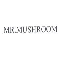 MR.MUSHROOM
