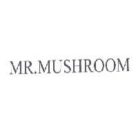 MR.MUSHROOM