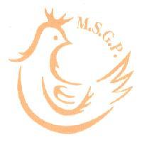 M.S.G.P. 及圖