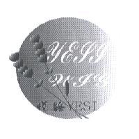 悅絲 YESI YESI WIG 及圖