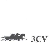 3CV 及圖