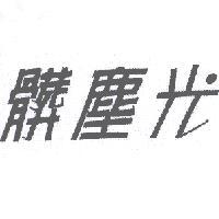 髒塵光