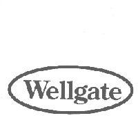 Wellgate 及圖